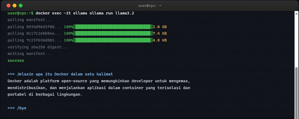 docker exec -it ollama ollama run llama3.2