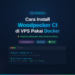 Woodpecker ci vps docker installation